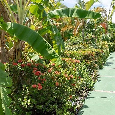 Perle Des Caraibes , Bungalow Moderne N° 14 Le Gosier  Exterior foto